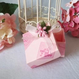 HAMİLE PLATESİ NEDİR VE NE ZAMAN BAŞLANIR?