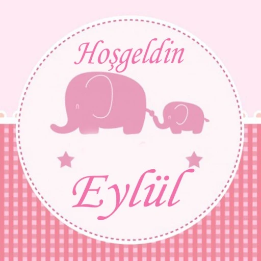 Filli Bebek Sticker Eb227