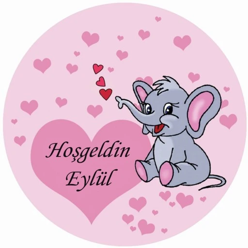 Filli Bebek Hediyelik Sticker Etiket Kız Bebek Eb202