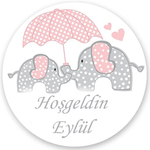 Filli Bebek Hediyelik Sticker Etiket Kız Bebek Eb209