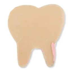 Diş Polyester Pembe