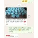 Çiçeçkli Fanus Mavi Erkek Bebek Şekeri