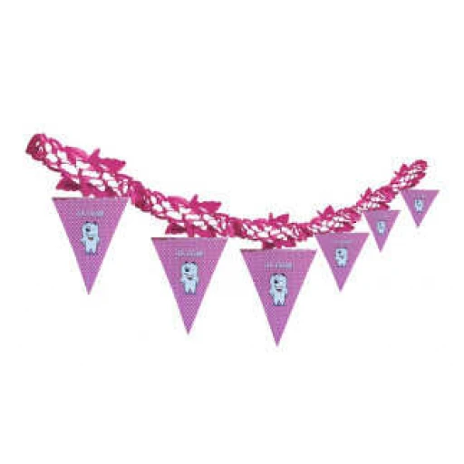 Flama İlk Dişim Pembe Pk:1set