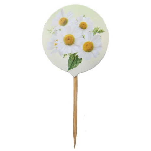 KÜRDAN PAPATYA PK:20