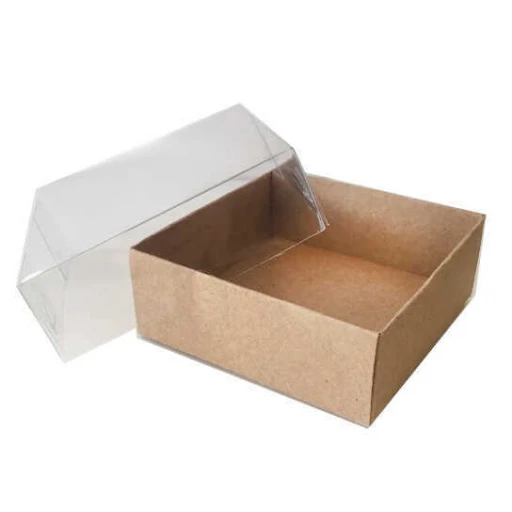 Kutu Naturel Kraft Kağıt Ve Asetat 8x8x3 cm 50'li