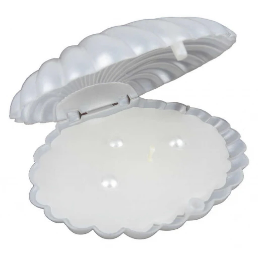 Mum İstiridye Kutuda İçi İnci Sedefli