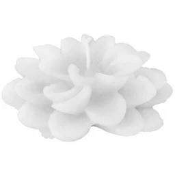 Mum Nilüfer Kraft Naturel Kutulu Beyaz