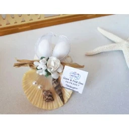 İncilerle Süslenmiş Midye Kabuğu Nikah Şekeri