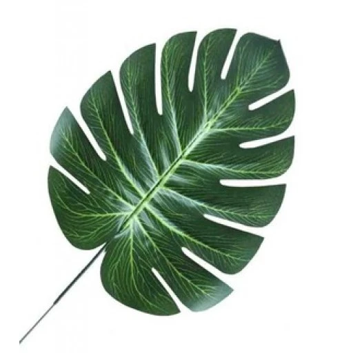 Yaprak Devetabanı Modeli 19 cm 5'li