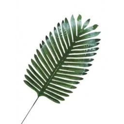 Yaprak Palmiye Modeli 35 cm 5'li