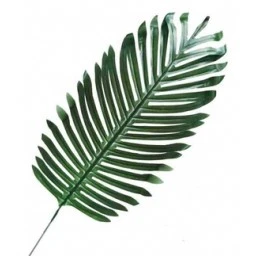 Yaprak Palmiye Modeli 44 cm 5'li