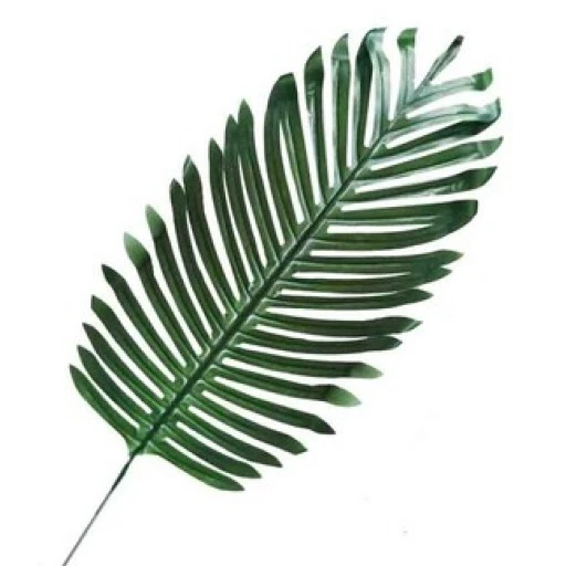 Yaprak Palmiye Modeli 44 cm 5'li