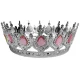Taç Plastik Gümüş Pasta Süsü Taşlı Pembe
