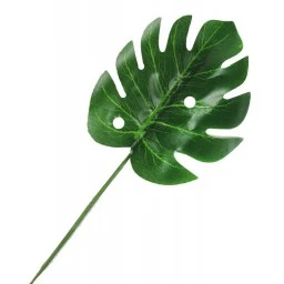 Yaprak Deve Tabanı Arajman 8x20 cm 5'li