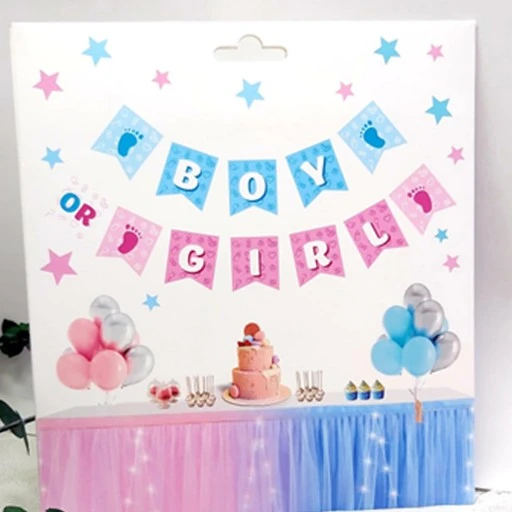 Cinsiyet Partisi Erkke Mi Kızmı Boy Girl Banner