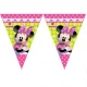 Minnie Helper Pembe Yeşil Flama Bayrak Set