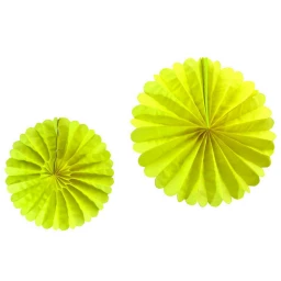 Süs Yelpaze Modeli 2 Li Set Sarı