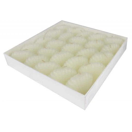 Mum İstiridye Beyaz 5,5x4 cm