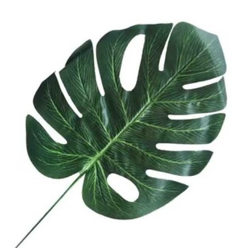 Yaprak Devetabanı Modeli 23 cm 5'li