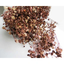 Çiçek Doğal Cipso 50'li Gr Retro Kahverengi