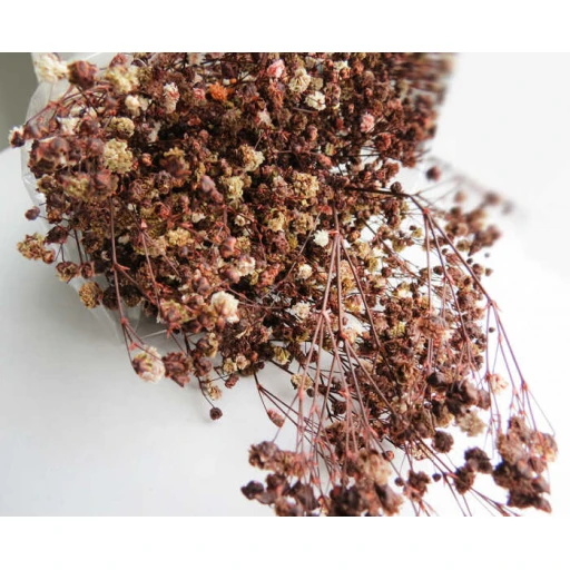 Çiçek Doğal Cipso 50'li Gr Retro Kahverengi