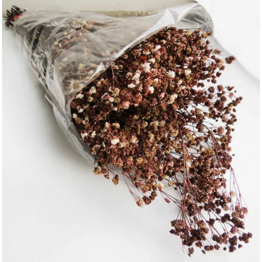 Çiçek Doğal Cipso 50'li Gr Retro Kahverengi