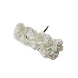 GÜL KÜÇÜK BEYAZ PK:144