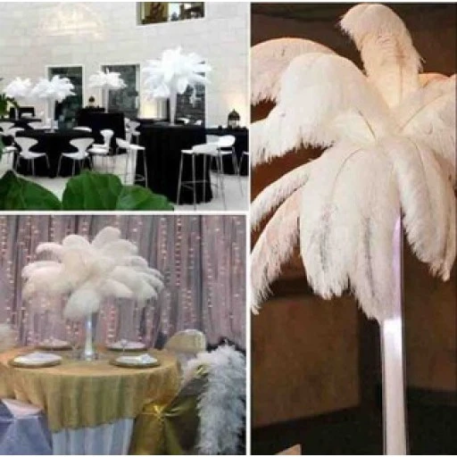 Tüy (kalem Ve Organizasyon İçin) 30*35 cm Beyaz