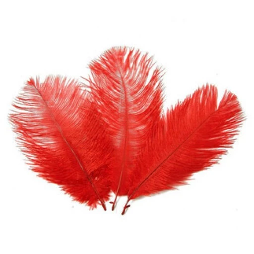Tüy ( Organizasyon İçin) 45*50cm Krmızı Pk1