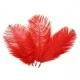 Tüy ( Organizasyon İçin) 45*50cm Krmızı Pk1