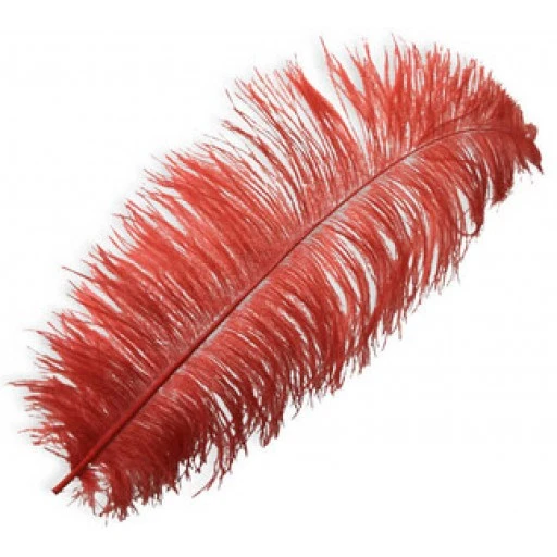 Tüy ( Organizasyon İçin) 65*70cm Kırmızı