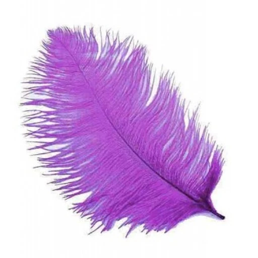 Tüy ( Organizasyon İçin) 65*70cm Mor