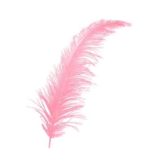 Tüy Pembe P100