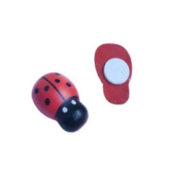 Uğur böceği kırmızı p100