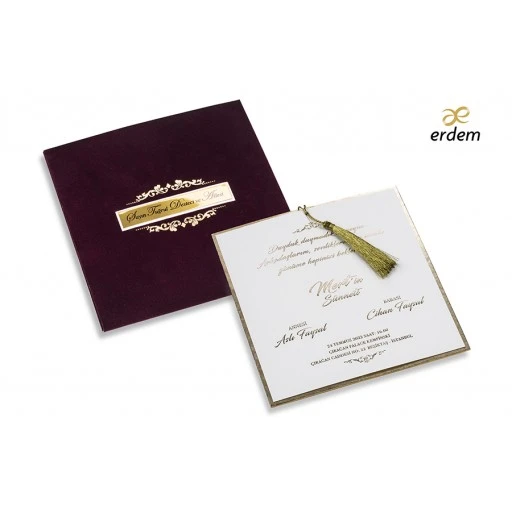 Sünnet Davetiyesi Erdem Sünnet Davetiye 80925