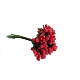 Çiçek Cipso Görünümünde Kırmızı P144