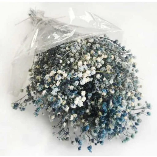 Çiçek Doğal Cipso 50'li Gr Mor