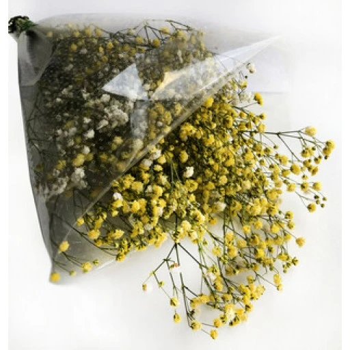 Çiçek Doğal Cipso 50'li Gr Sarı