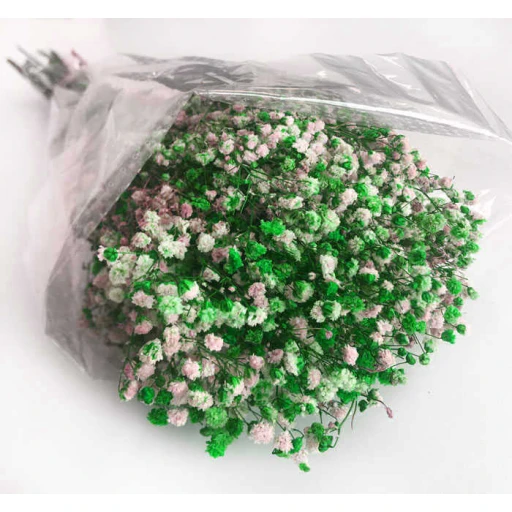 Çiçek Doğal Cipso 50'li Gr Yeşil