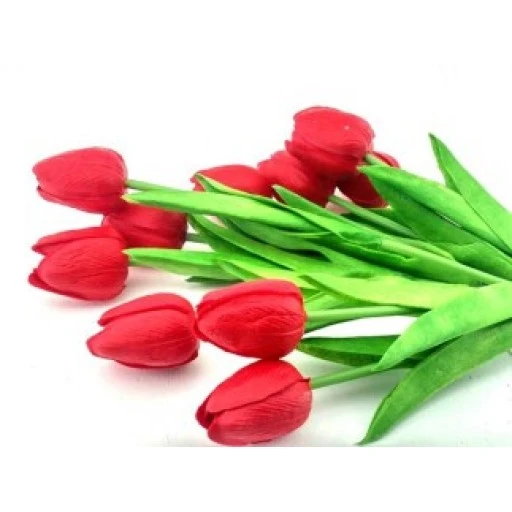 Çiçek Islak Lale Kırmızı 10'li