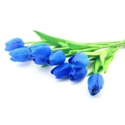 Çiçek Islak Lale Lacivert 10'li