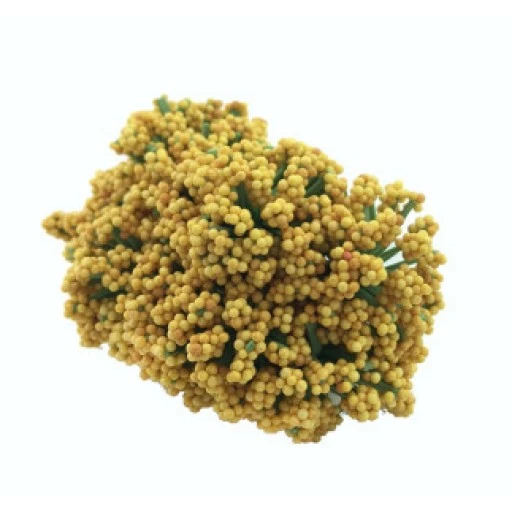 Cipso Çiçek Altın 144'lı